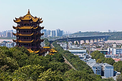 趴在妈妈身上猛烈耸动:温馨互动游戏走红,回忆亲子美好时光-1