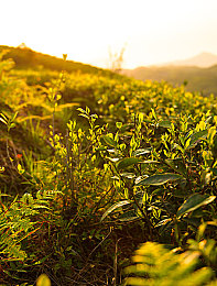 好湿 好紧 好多水91：夏日护肤新宠，肌肤水润的秘密