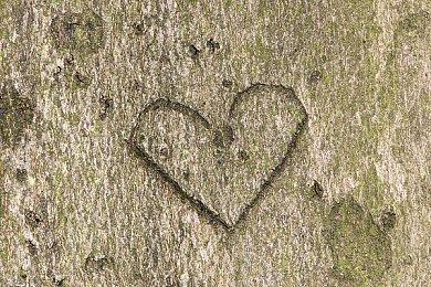 被男医生用手摸到高潮了:医术与关爱,患者体验新惊喜-2