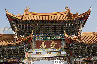 残虐极端疼痛拳:极限挑战,身心蜕变之旅-1