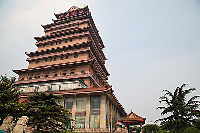 小马拉大车妈妈姐姐:奇幻世界亲情之旅,创新游戏引热议-1