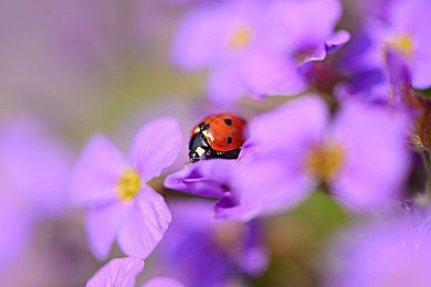 午夜商店官网:深夜购物新天地,神秘午夜商店官网来袭-1