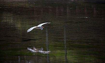 男女嗯啊进出软件:社交新宠:神秘软件走红网络-1