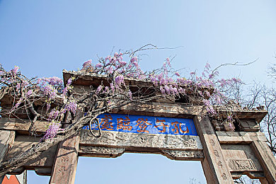 丰满女人和蔵獒伦配:奇幻世界奇遇记,神秘组合引关注-3