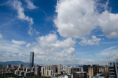 91伦理:短视频伦理新风向,"91伦理"引领正能量-3