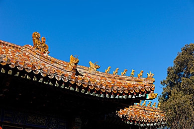 一个人在线观看www软件:独家观影神器,带你畅享影视盛宴-3