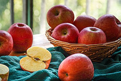 黄色软件下载安装免费：手机新宠：免费软件体验革命-4