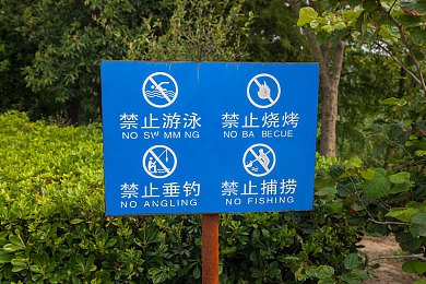 男人挺进雌性宠物交HD：虚拟现实游戏引关注，探讨心理健康教育-5
