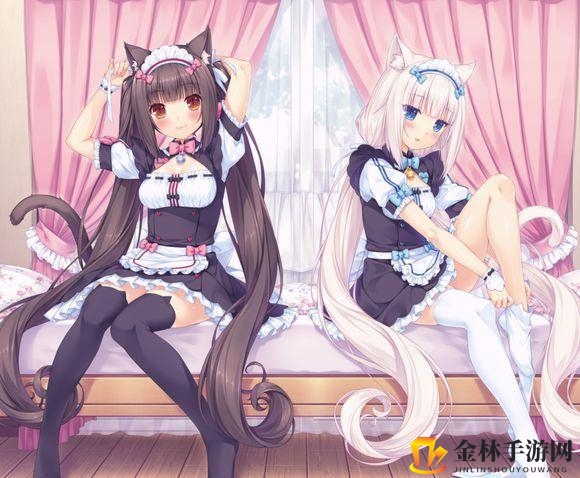 猫娘宠物蛋糕店，奇幻故事等你来！