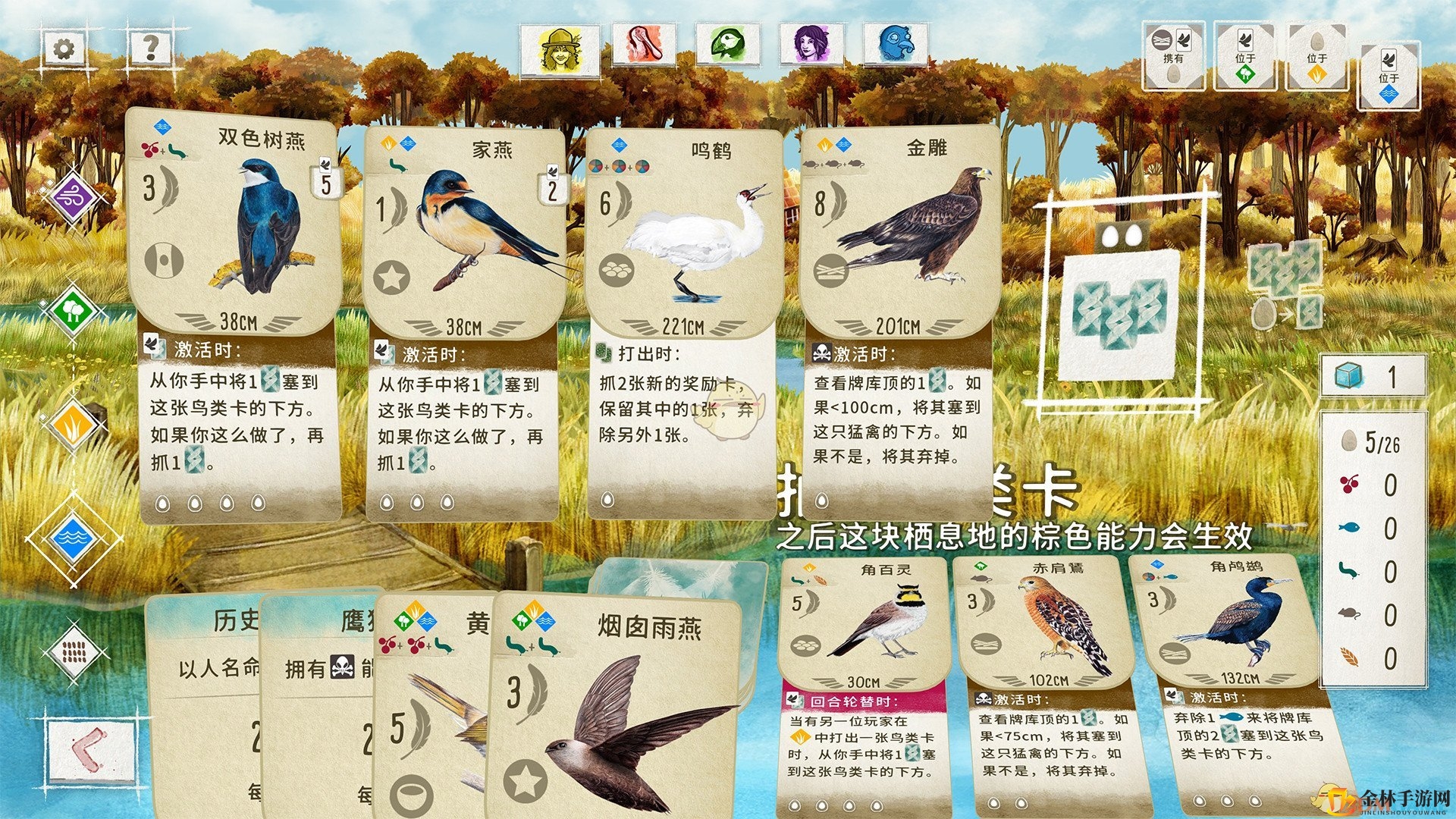 卡牌游戏新体验，鸟类王国等你探险