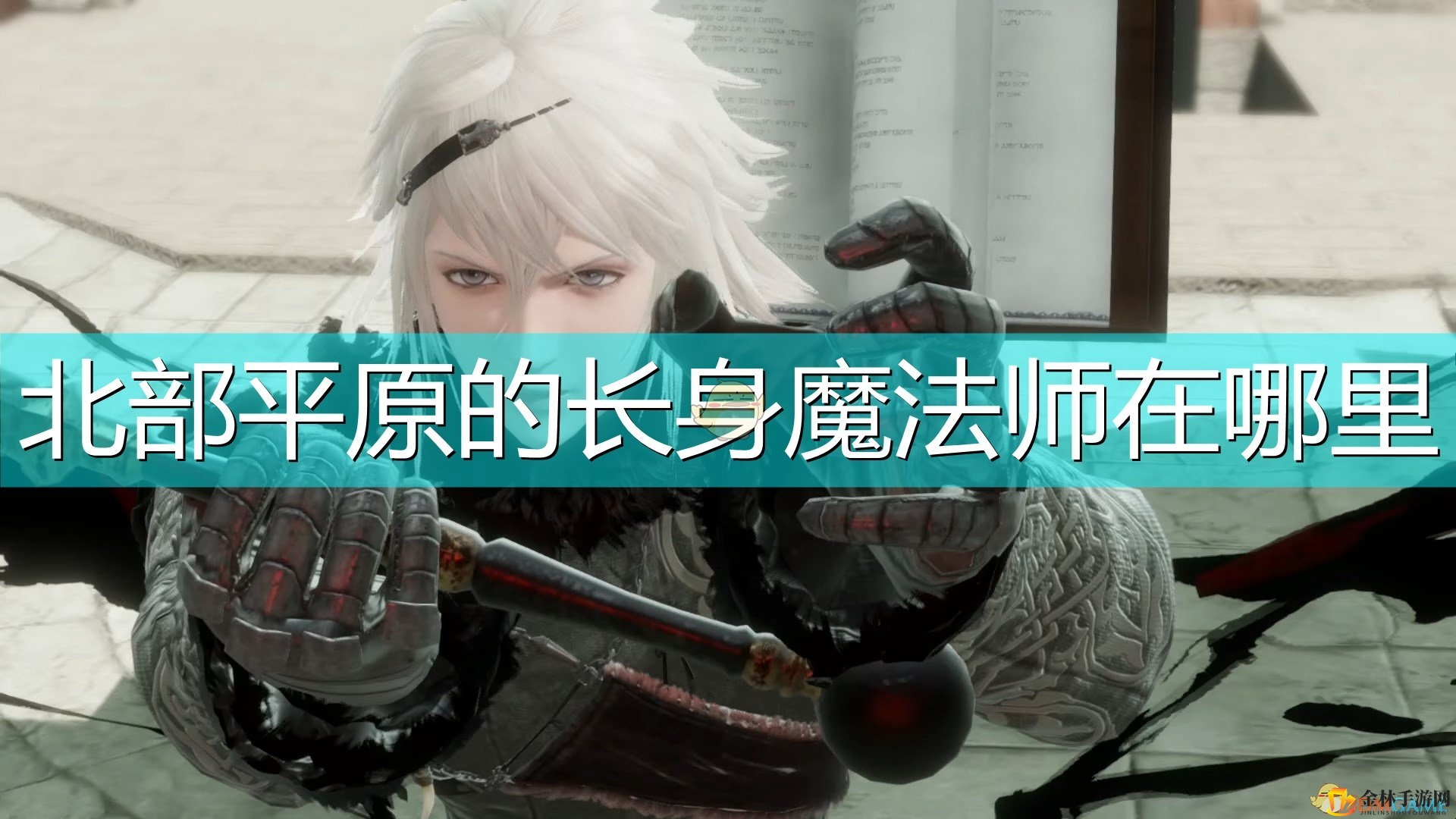 《尼尔：伪装者》北部平原长身魔法师位置介绍