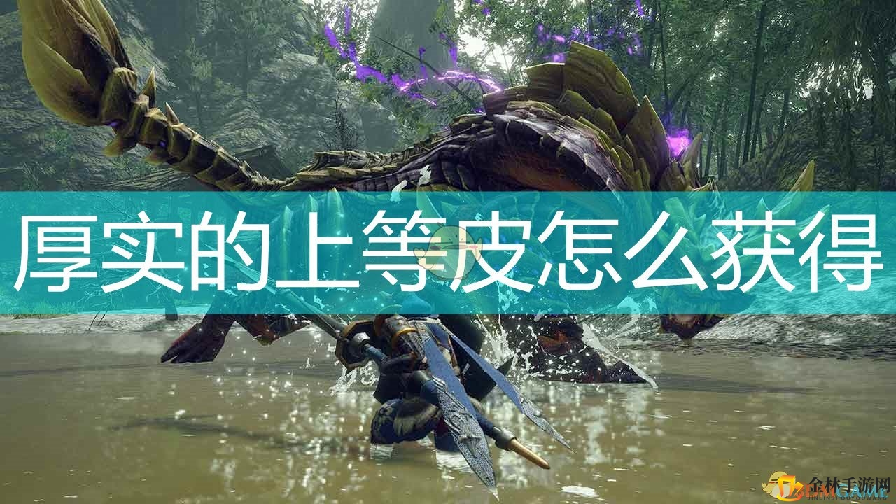 《怪物猎人：崛起》厚实的上等皮获取怪物介绍